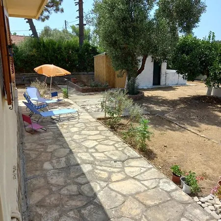 Lemon Garden