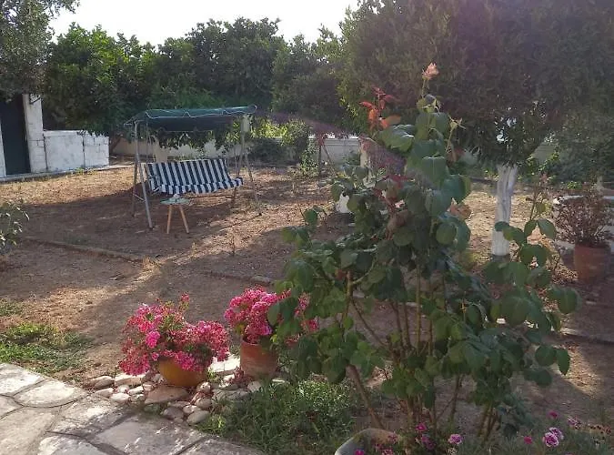 Lemon Garden *