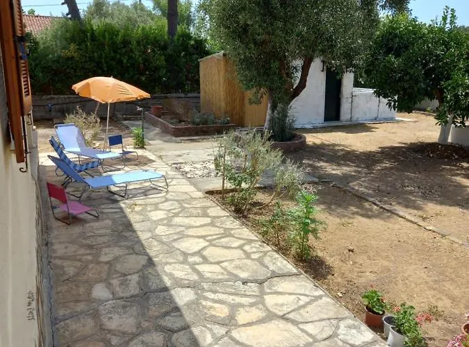 Lemon Garden
