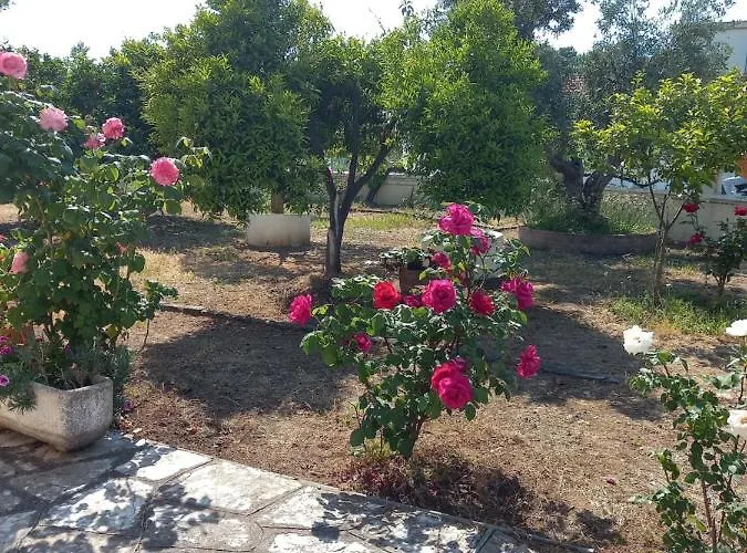 Lemon Garden Σπίτι διακοπών *