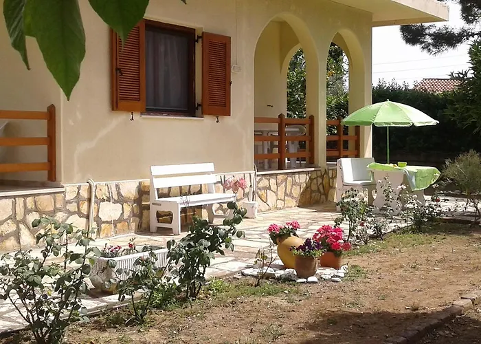 Lemon Garden *