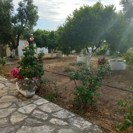 Lemon Garden *