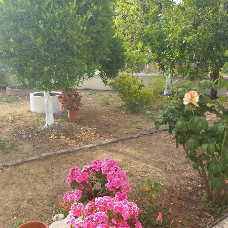 Lemon Garden Agios Georgios (Corfu)