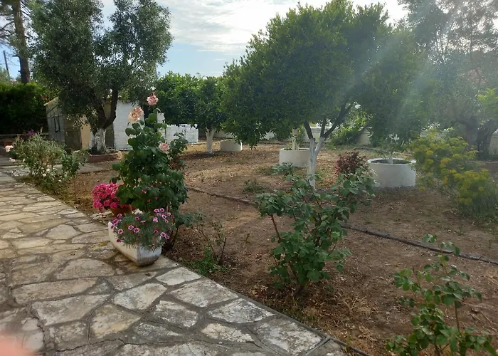 Lemon Garden *