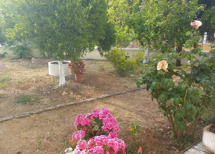 Lemon Garden Агиос-Георгиос