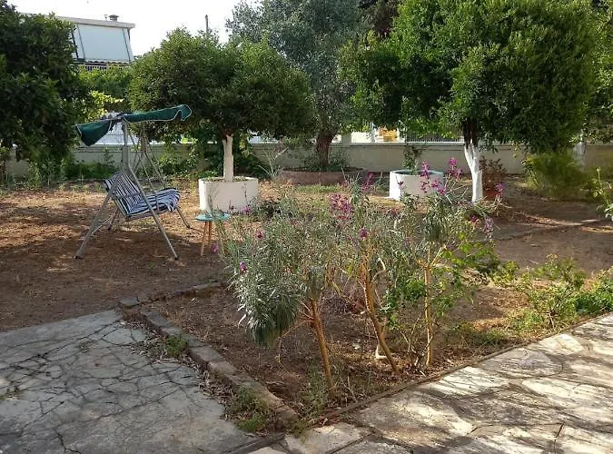 Lemon Garden