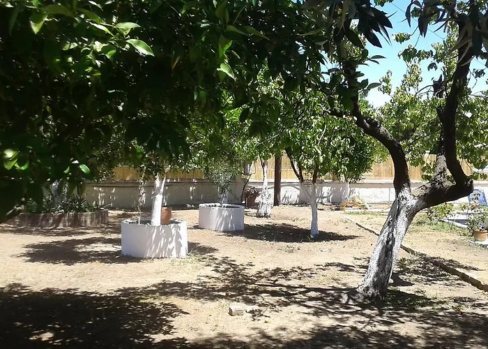 Lemon Garden אגיוס גיורגיוס
