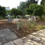 Lemon Garden