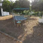 Lemon Garden 아기오스 게오르기오스