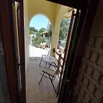 Lemon Garden