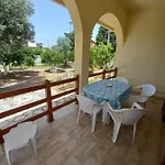 Lemon Garden
