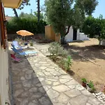 Lemon Garden