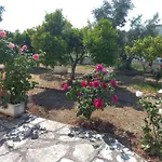 Lemon Garden 펜션 *