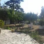 Lemon Garden 펜션 아기오스 게오르기오스
