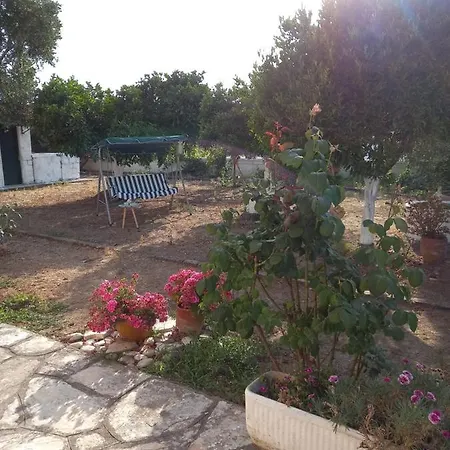 Lemon Garden *
