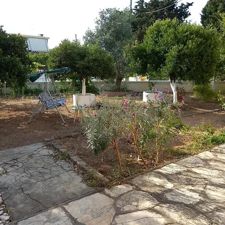 Lemon Garden