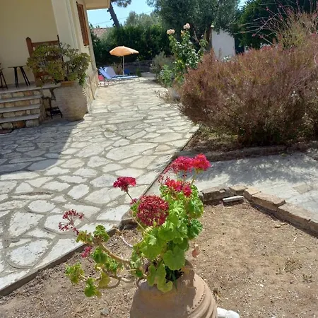 Lemon Garden