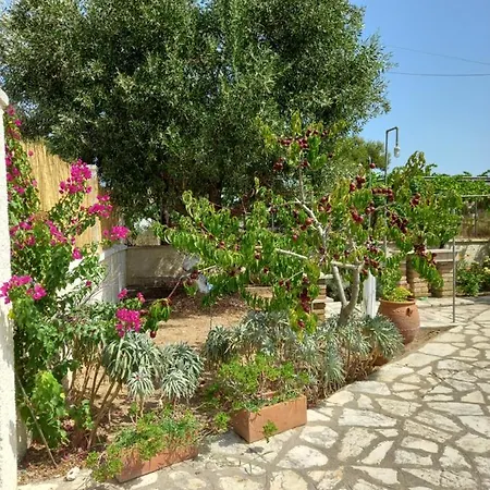 Dom wakacyjny Lemon Garden