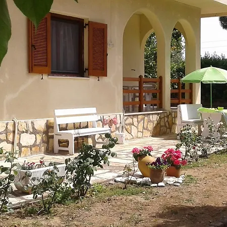 Lemon Garden *